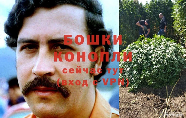 стафф Богданович