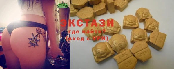 амф Богородицк