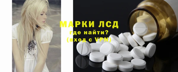 стафф Богданович