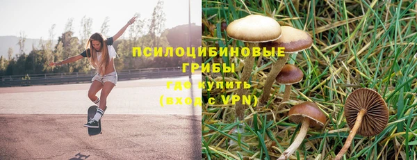марки lsd Михайловск