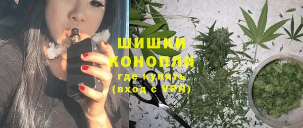 стафф Богданович