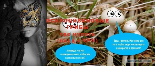 гашик Бугульма