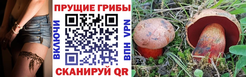 Псилоцибиновые грибы ЛСД  продажа наркотиков  Бирюч 